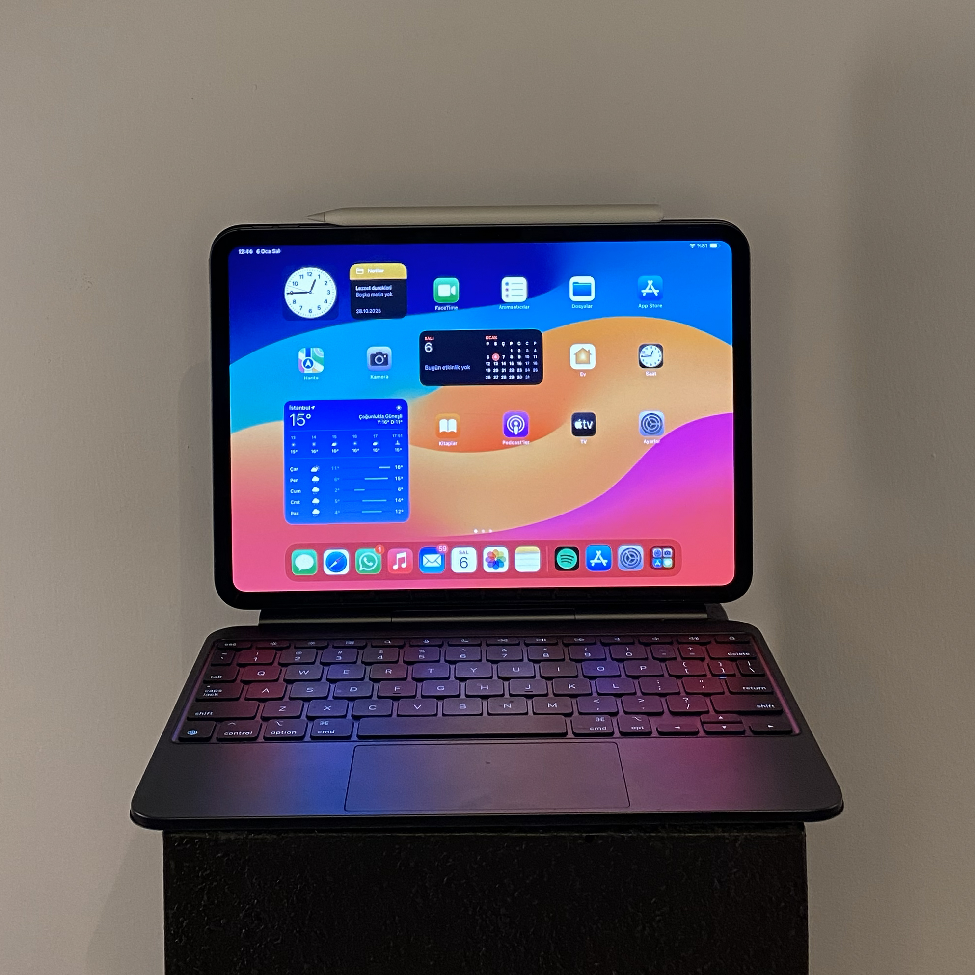 Apple İpad Pro 11" M4 İşlemci 256